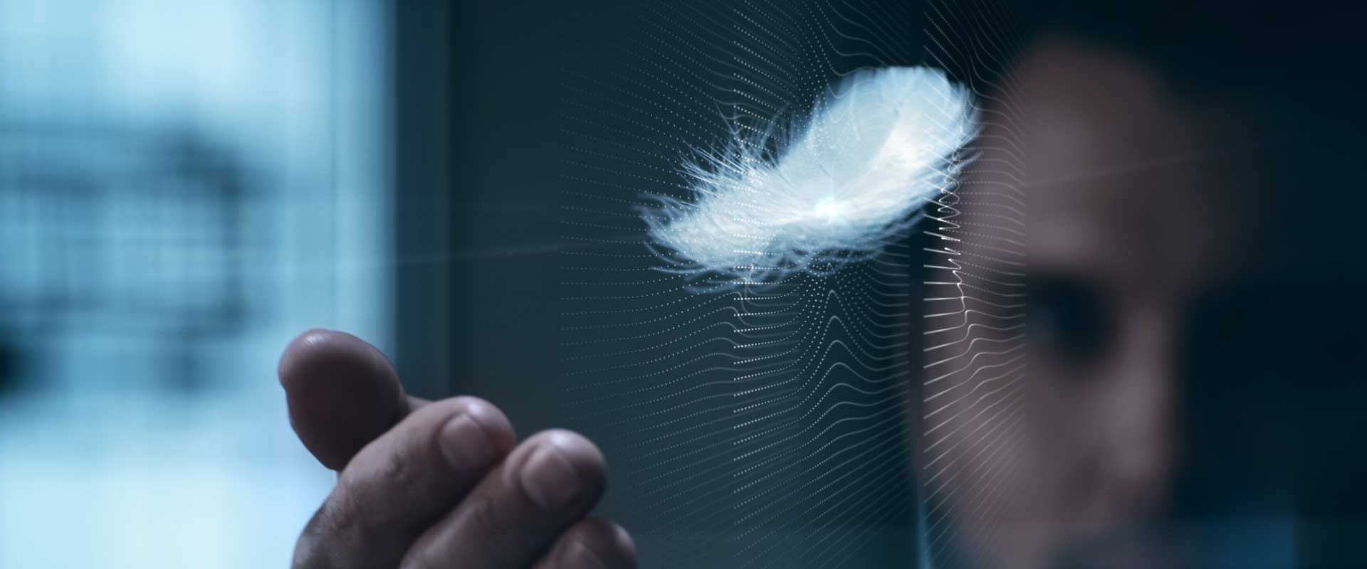 Feather. Still from Lexus Commercial.