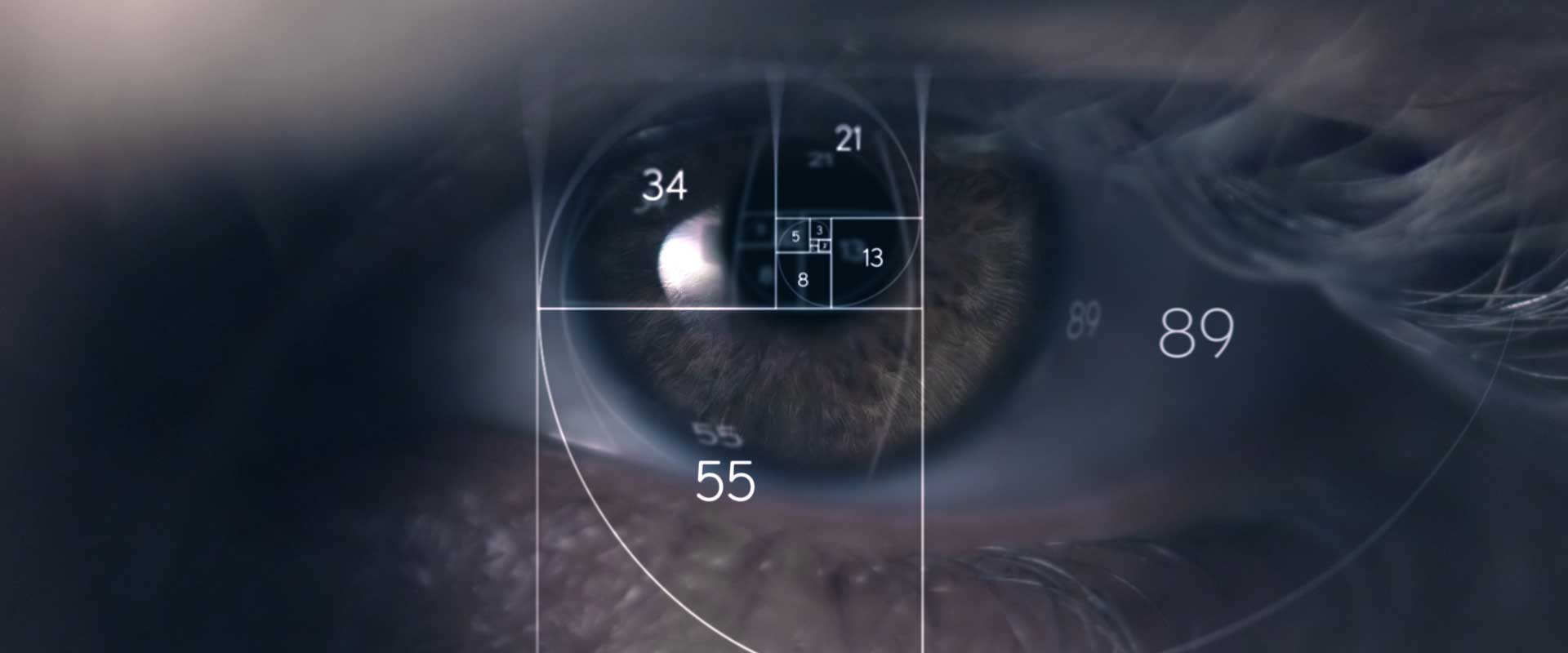 Eye with fonts and lines. Still from Lexus Commercial.