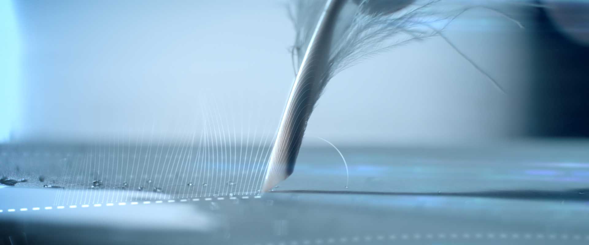 Feather writing. Still from Lexus Commercial.